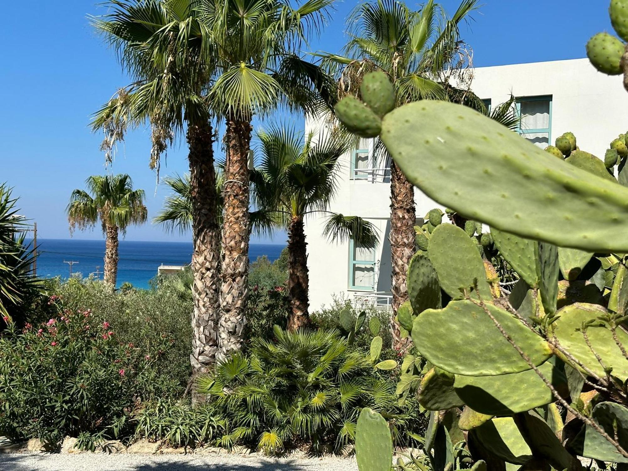 Hotel Plakures Phalasarna Eksteriør billede